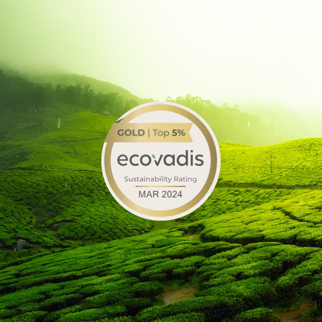 2024_ecovadis_hgv